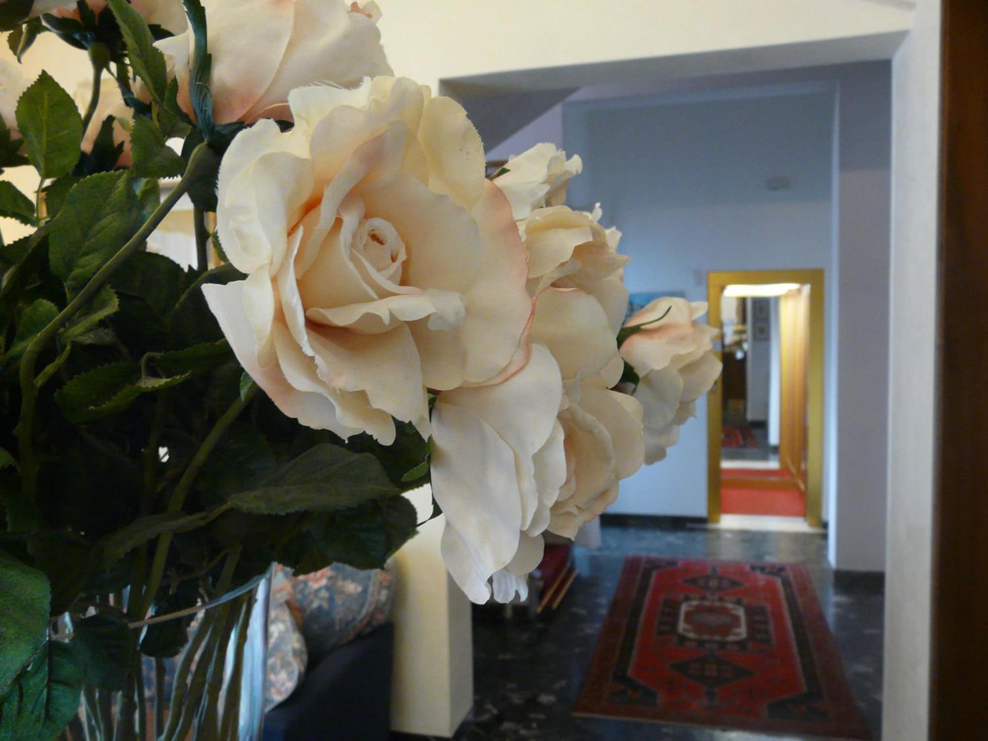 Altea Lido di Jesolo